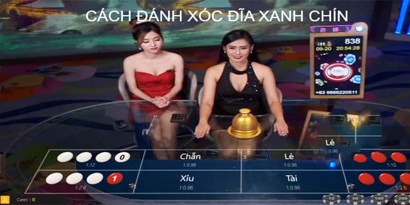 Cách đánh xóc đĩa trực tuyến xanh chính tại 247game